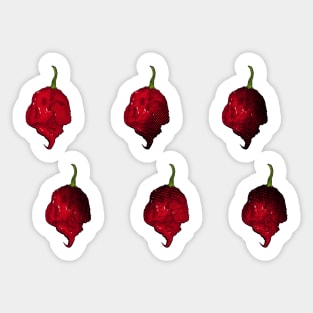 Habanero Chilli Pepper Sticker Spicy Hot Jalapeno Carolina Reaper Sticker